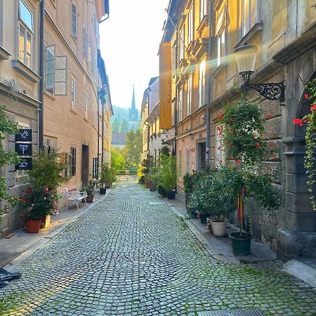1Br Apartment On The Most Beautiful Street In Ljubljana Center المظهر الخارجي الصورة