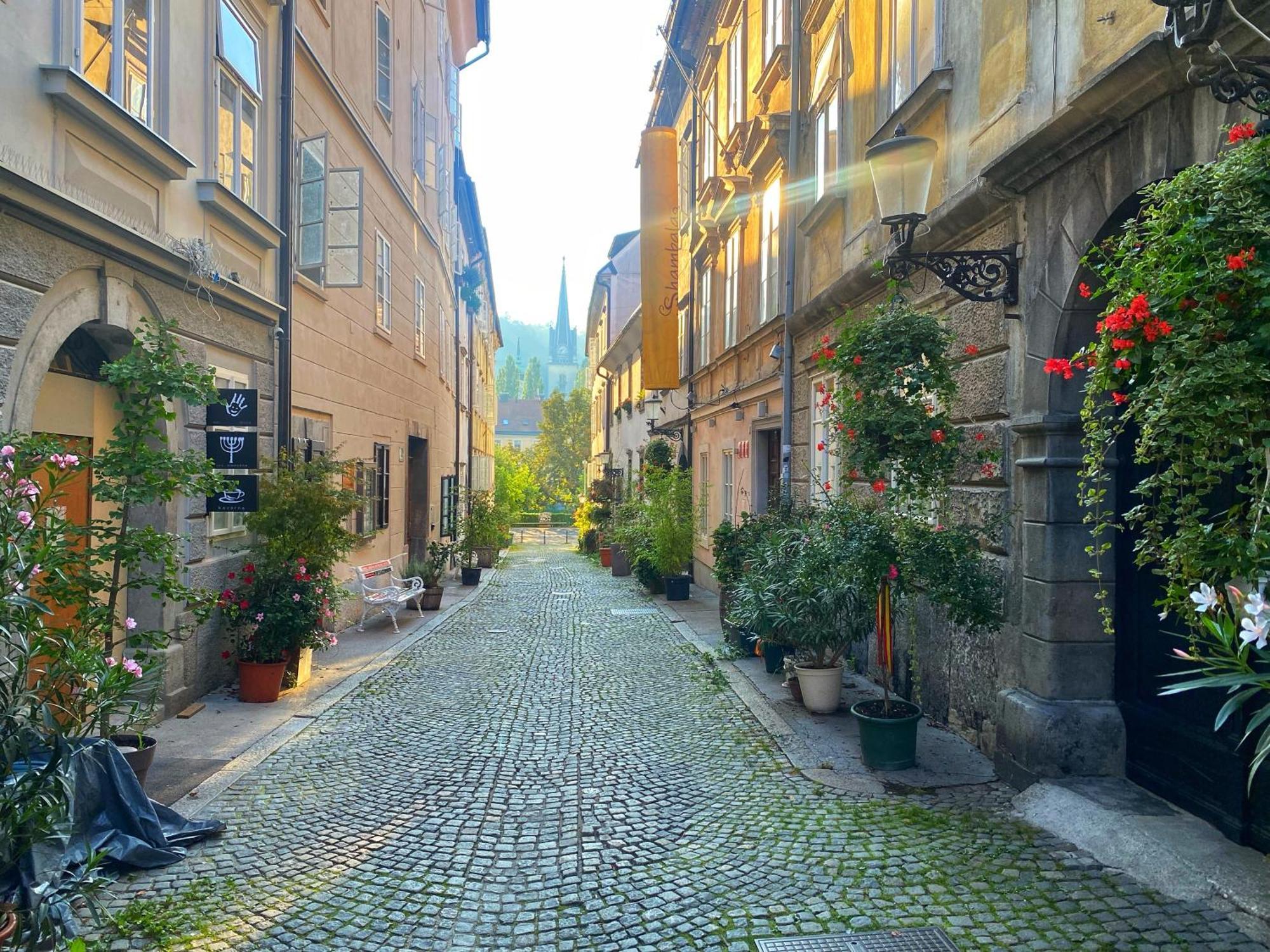 1Br Apartment On The Most Beautiful Street In Ljubljana Center المظهر الخارجي الصورة